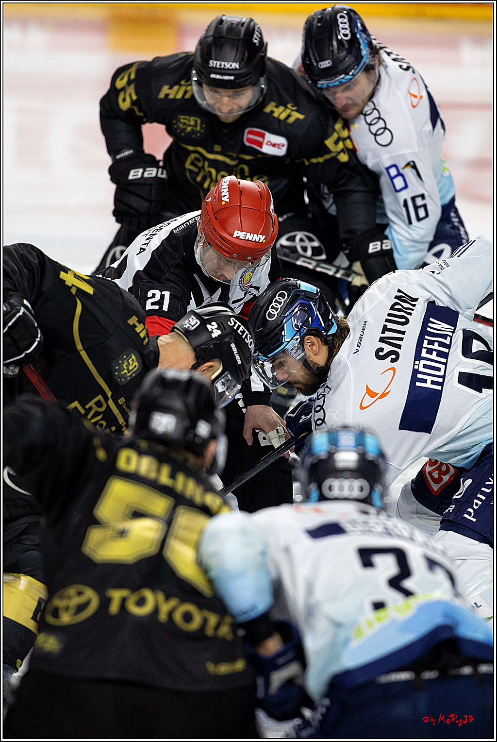 PENNY DEL;  Kölner Haie - ERC Ingolstadt; Köln, 25.11.2022